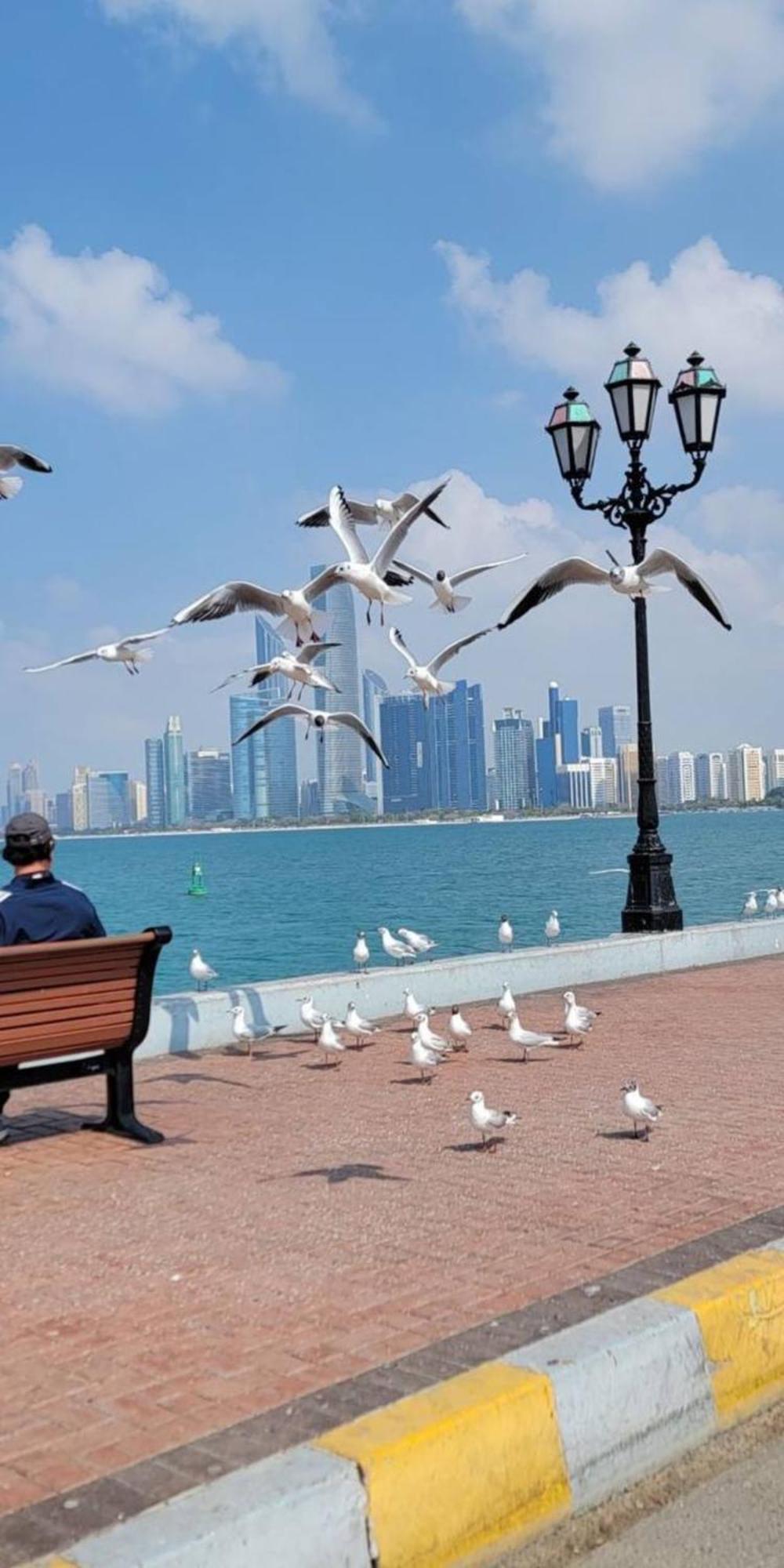 The - By Lunar Hostel Abu Dhabi